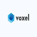 Voxel